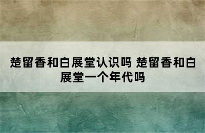 楚留香和白展堂认识吗 楚留香和白展堂一个年代吗